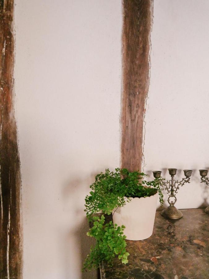 La Maison Pieuse Villiers-Saint-Benoit ภายนอก รูปภาพ