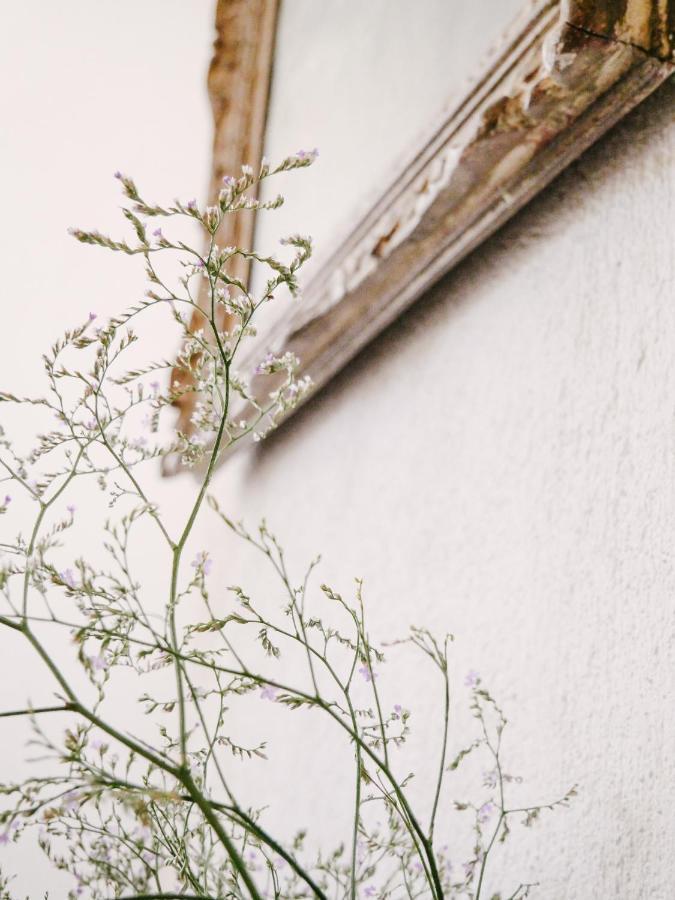 La Maison Pieuse Villiers-Saint-Benoit ภายนอก รูปภาพ